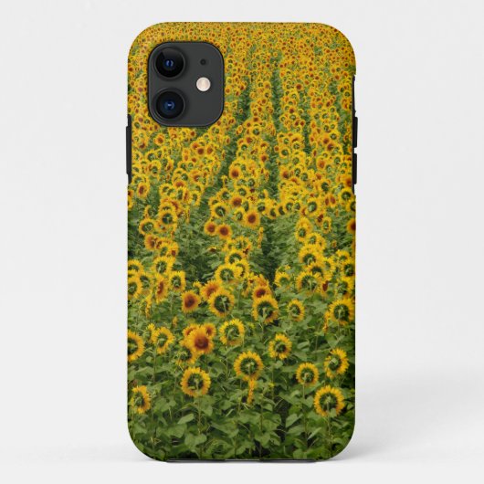 Zonnebloem Power iPhone Hoesje (Achterkant)