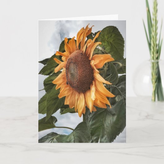 Zonnebloem Power Verjaardag Kaart (Voorkant)