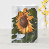 Zonnebloem Power Verjaardag Kaart (Gele Bloem)