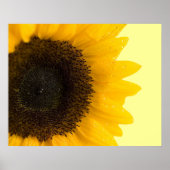 Zonnebloem Print (Voorkant)