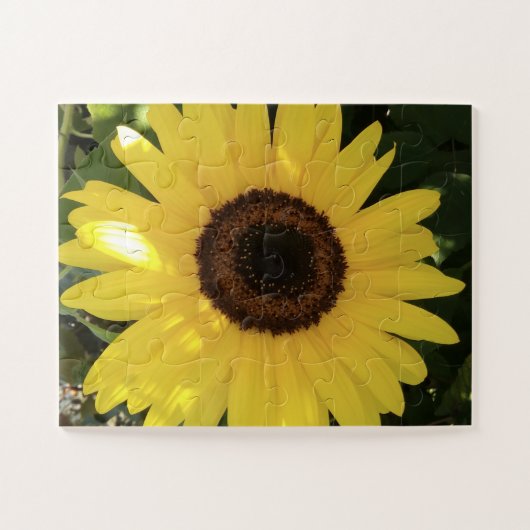 Zonnebloem Puzzle Legpuzzel (Horizontaal)