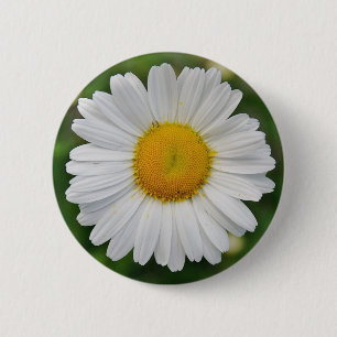 Zonnebloem Ronde Button 5,7 Cm
