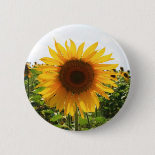 Zonnebloem Ronde Button 5,7 Cm