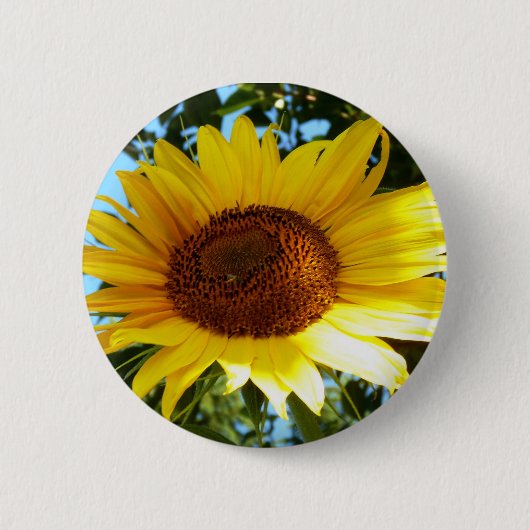 Zonnebloem Ronde Button 5,7 Cm (Voorkant)