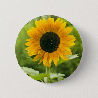 Zonnebloem Ronde Button 5,7 Cm