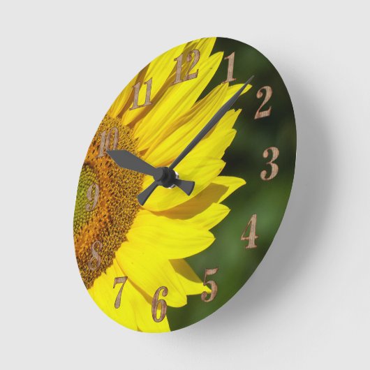 Zonnebloem Ronde Klok (Hoek)