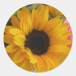 Zonnebloem Ronde Sticker