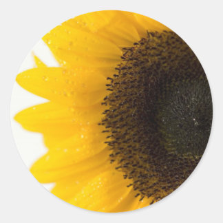 zonnebloem ronde sticker