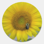 Zonnebloem Ronde Sticker (Voorkant)