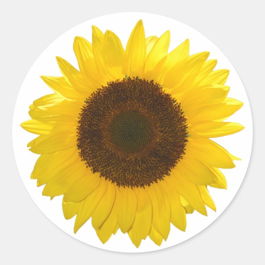 Zonnebloem Ronde Sticker (Voorkant)