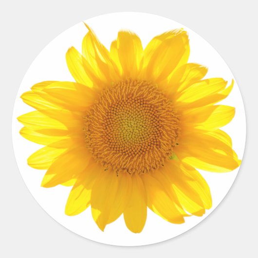 Zonnebloem Ronde Sticker (Voorkant)