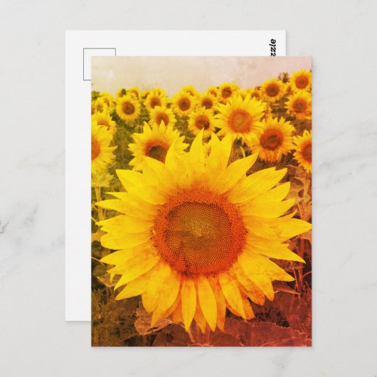 zonnebloem Rustic Foto Briefkaart (Voorkant / Achterkant)