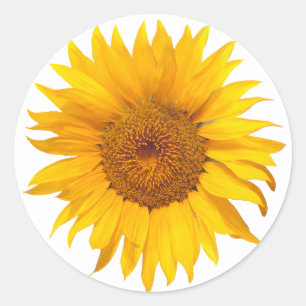 Zonnebloem rustieke bloemen bruiloft gunst ronde sticker