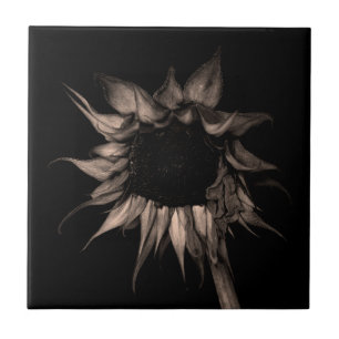 Zonnebloem - Schone unieke kleuren Tegeltje
