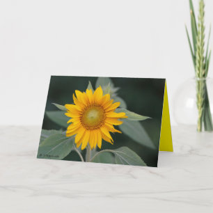 Zonnebloem Schoonheid Bedankkaart