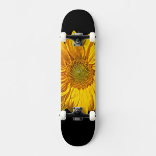 Zonnebloem sdcn skateboard