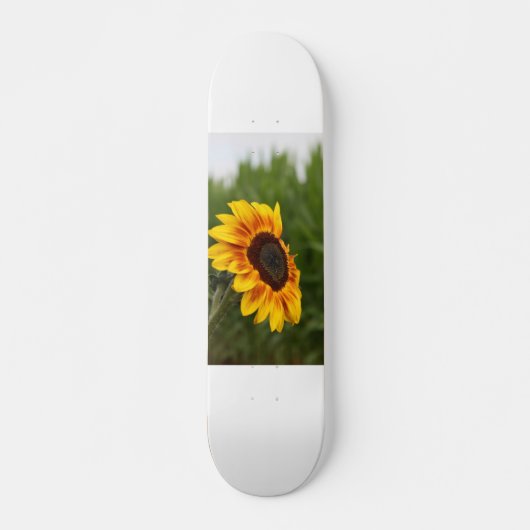 Zonnebloem Skateboard (Voorkant)