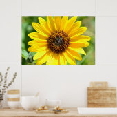 Zonnebloem Sluiten poster (Keuken)