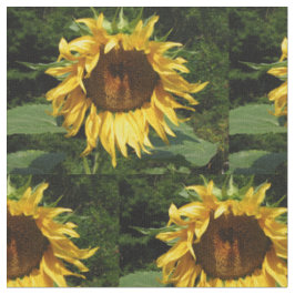Zonnebloem Stof