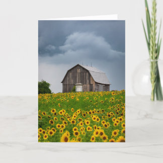 Zonnebloem Storm Blank Note Kaart