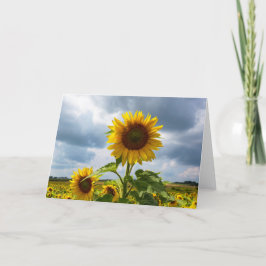 Zonnebloem Storm Blank Note Kaart