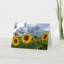 Zonnebloem Storm Blank Note Kaart