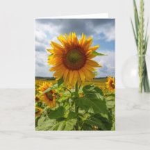 Zonnebloem Storm Blank Note Kaart