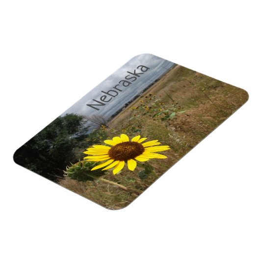 Zonnebloem, Stormy Sky, Western landschap in Nebra Magneet (Linkerzijde)