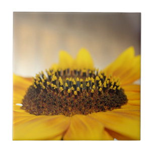 Zonnebloem Tegeltje