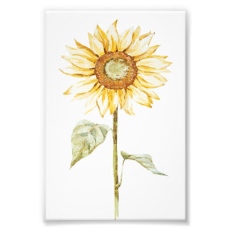 Zonnebloem tekenen -  Funny Birthday Gift Foto Afdruk