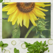 Zonnebloem Theedoek (Gevouwen)