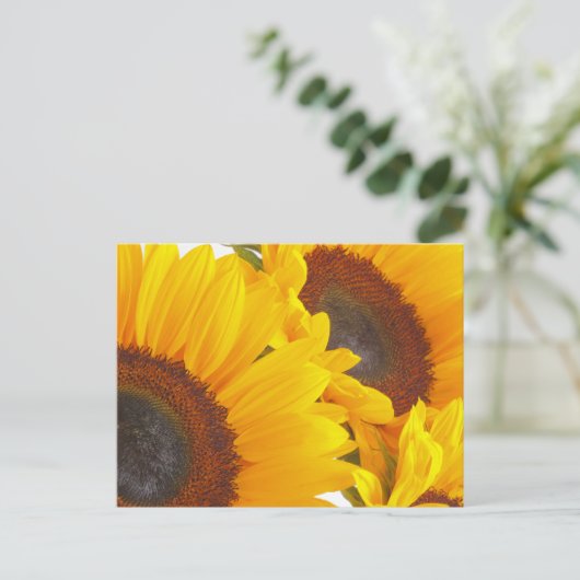 Zonnebloem Triplettes Briefkaart (Staand voorkant)