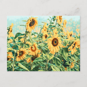Zonnebloem Veldgele Blauwgroen Florence Design Briefkaart
