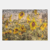  zonnebloem Veldgele grunge textuur Inpakpapier Vel (Voorkant)