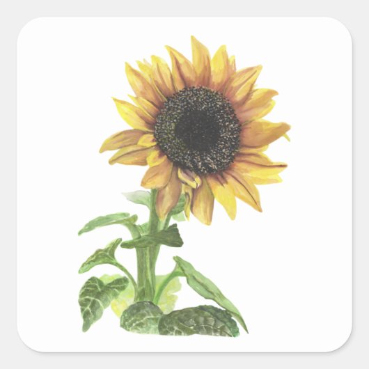 Zonnebloem Vierkante Sticker (Voorkant)