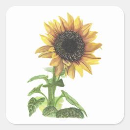 Zonnebloem Vierkante Sticker