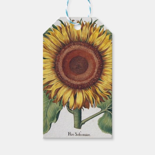 Zonnebloem Vintage Damask Flower Art Cadeaulabel (Voorkant)