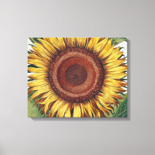 Zonnebloem Vintage Damask Flower Art Canvas Afdruk