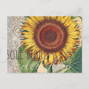 Zonnebloem Vintage Damast Bloem Kunst Briefkaart