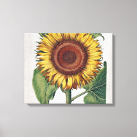 Zonnebloem Vintage Damast Bloem Kunst