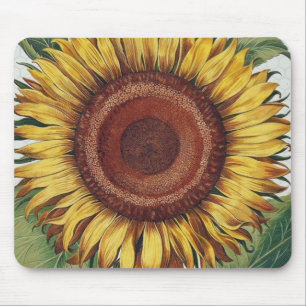 Zonnebloem Vintage Damast Bloem Kunst Muismat