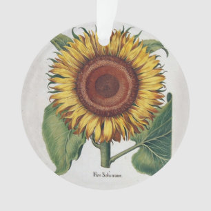 Zonnebloem Vintage Damast Bloem Kunst Ornament