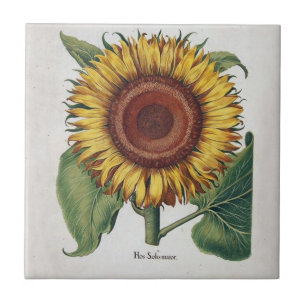 Zonnebloem Vintage Damast Bloem Kunst Tegeltje