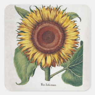 Zonnebloem Vintage Damast Bloem Kunst Vierkante Sticker