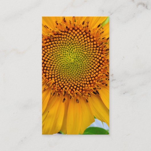Zonnebloem Visitekaartje (Voorkant)