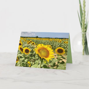 Zonnebloem Wenskaart Feestdagen Kaart