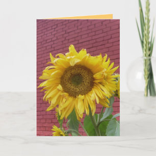 Zonnebloem Wenskaart Kaart