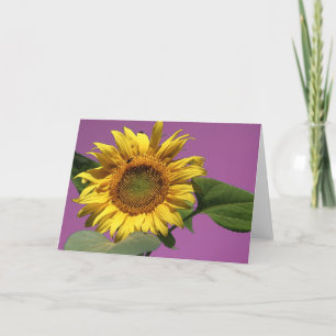 Zonnebloem Wenskaart Kaart