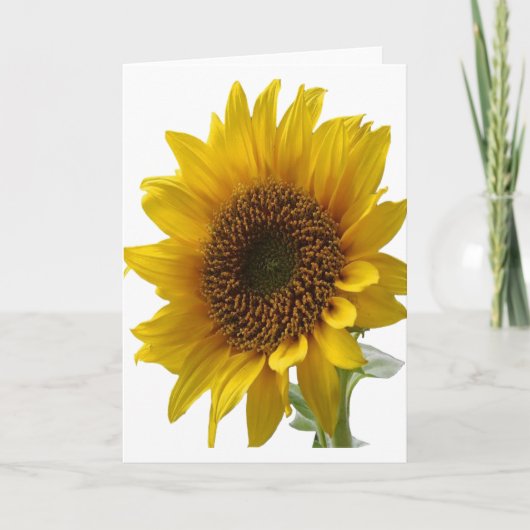 Zonnebloem wenskaart voor haar kaart (Voorkant)