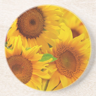 Zonnebloem Zandsteen Onderzetter